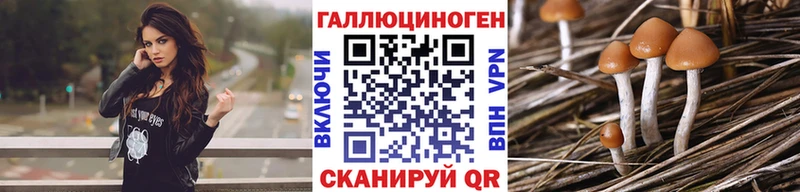 Купить  Сосновоборск  Галлюциногенные грибы Cubensis 