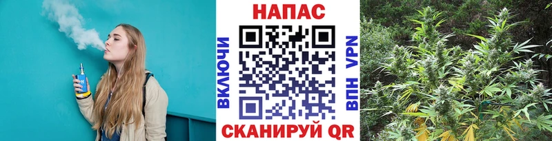 Купить где  Сосновоборск  Шишки марихуана THC 21% 